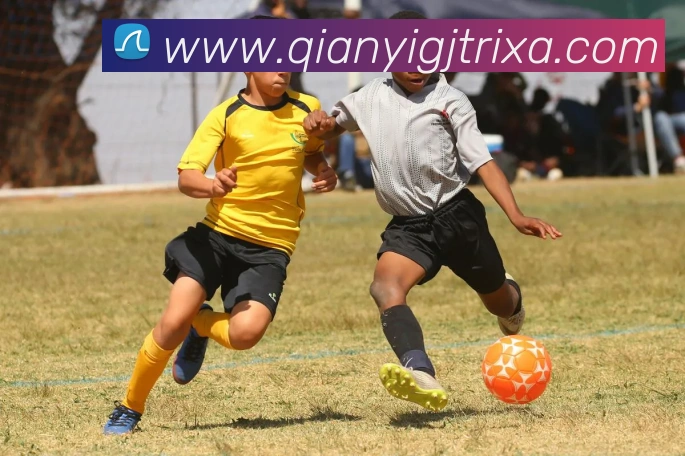 多媒体互动体验